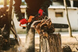 Stump Grinding