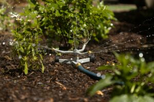 Mulch