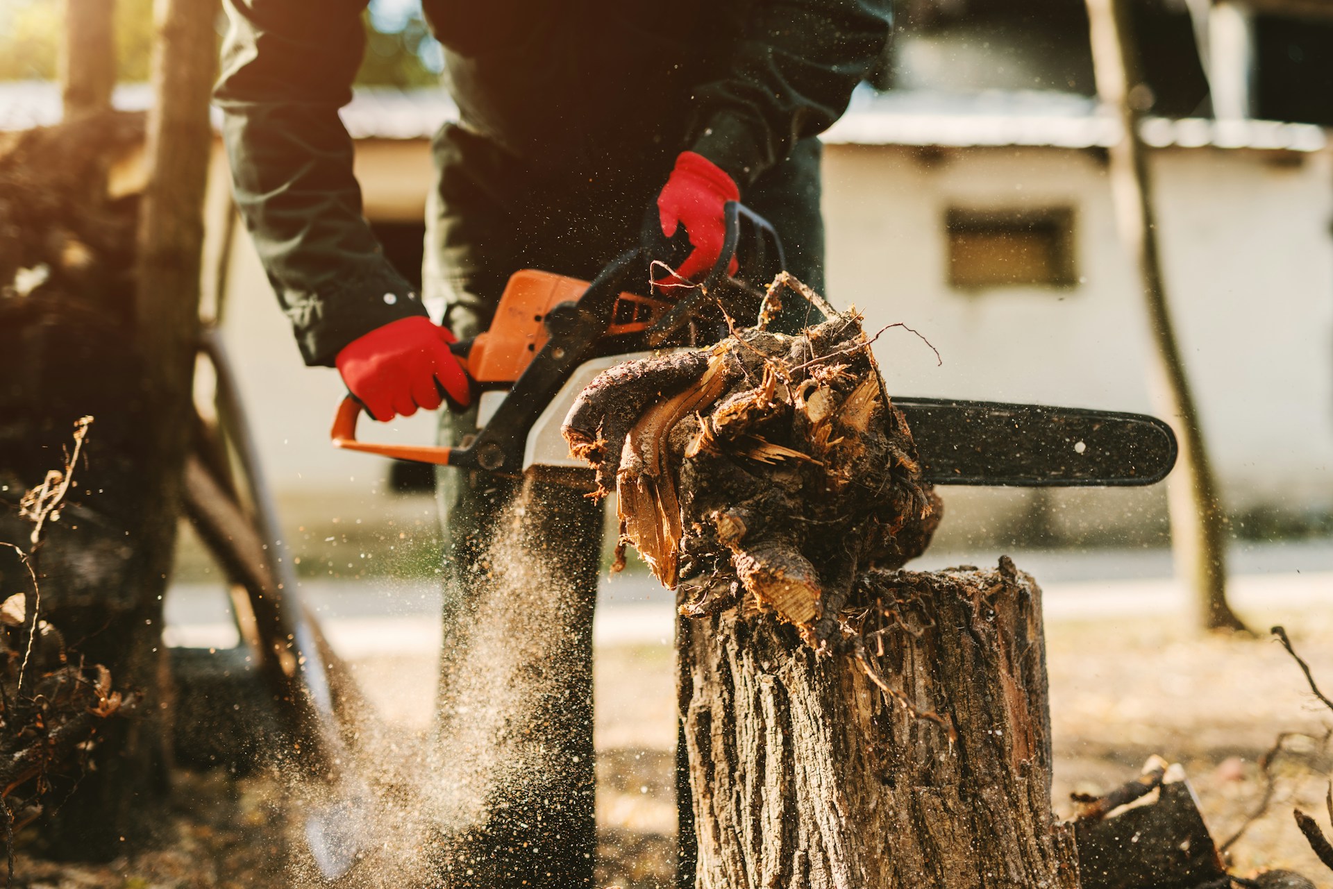 Stump Removal