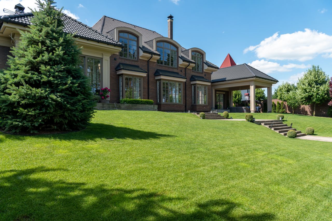 Lawn Stress